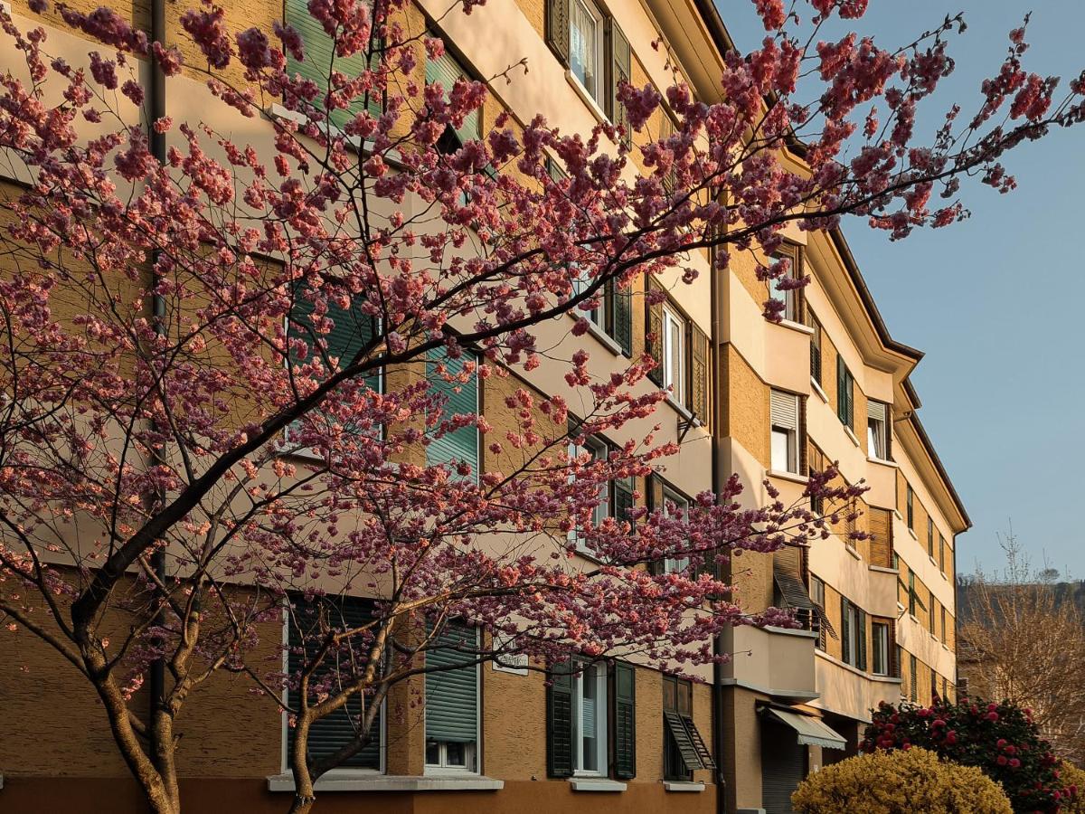 Central Suite Meran Exteriör bild